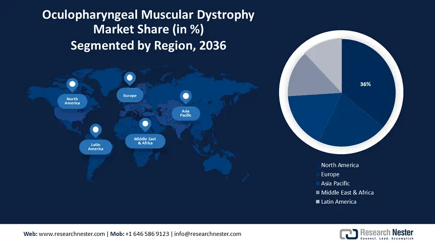 Oculopharyngeal Muscular Dystrophy (OPMD) Market Size